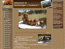 Tablet Screenshot of hestneshagen.com